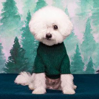 Bid now in our big silent auction!