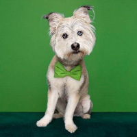 Bid now in our big silent auction!