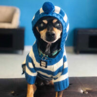 Watch Our Wagcam