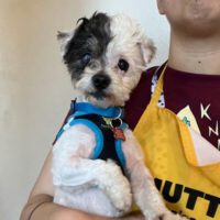 Watch Our Wagcam