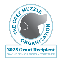 Grey Muzzle Grant Recipient 2025