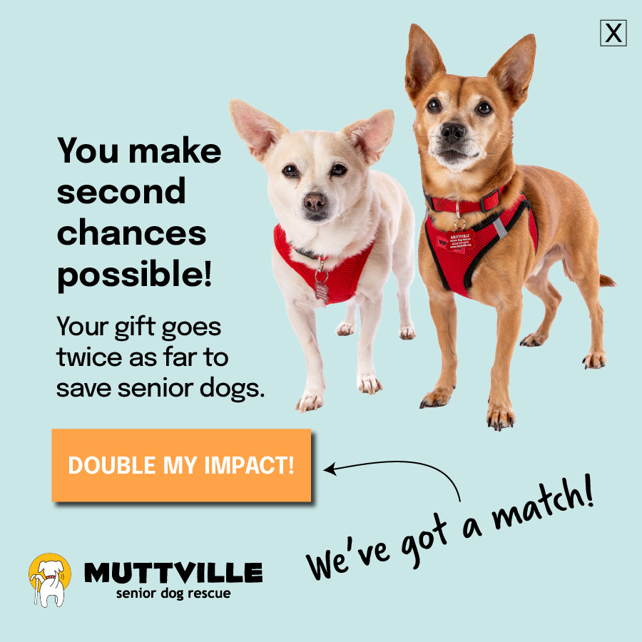 We've got a match!