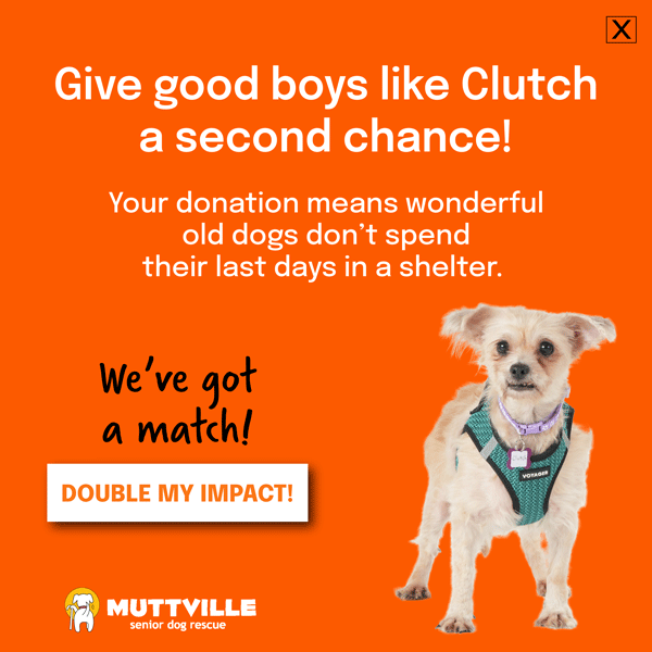 WE HAVE A MATCH! DONATE NOW!