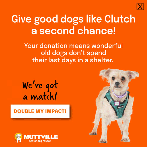 WE HAVE A MATCH! DONATE NOW!