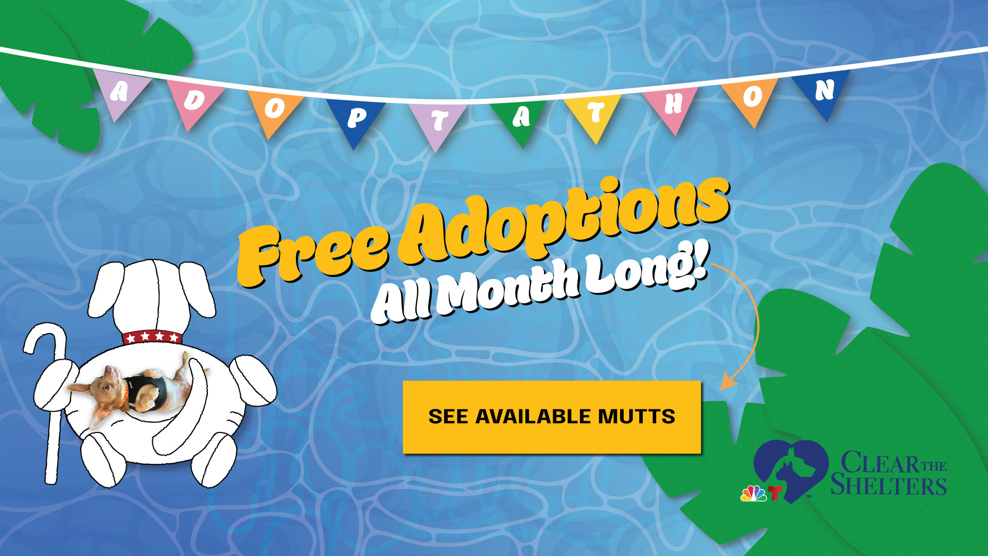 Free adoptions all month long!