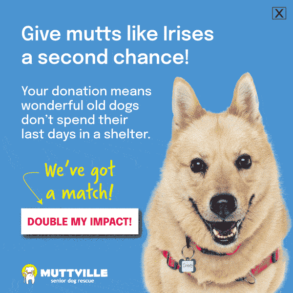 Double Your donation