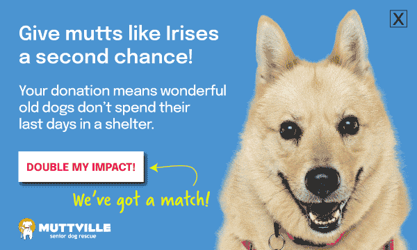 Double Your donation